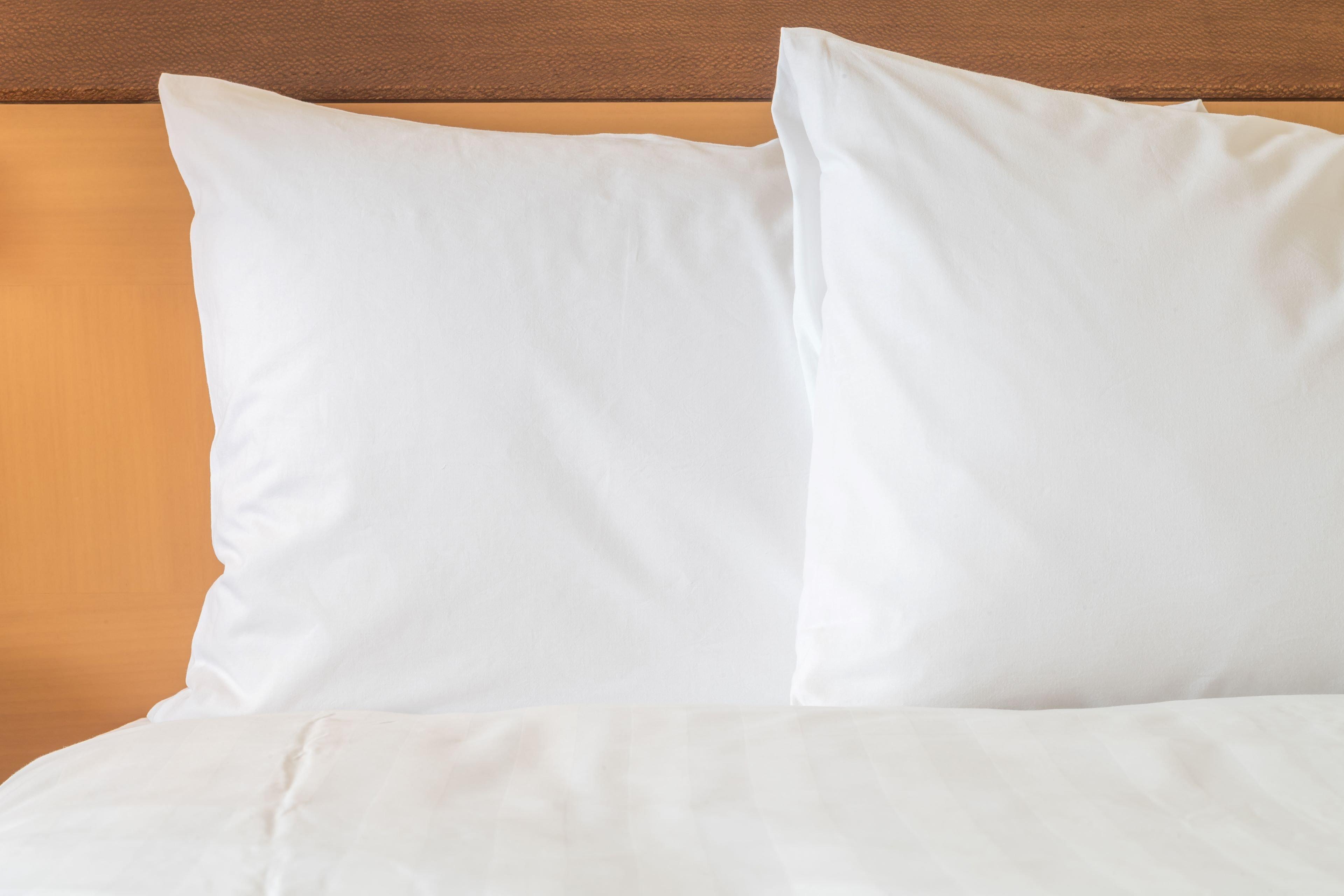 Holiday Inn Express Hotel & Suites Saint John Harbour Side By Ihg Eksteriør bilde